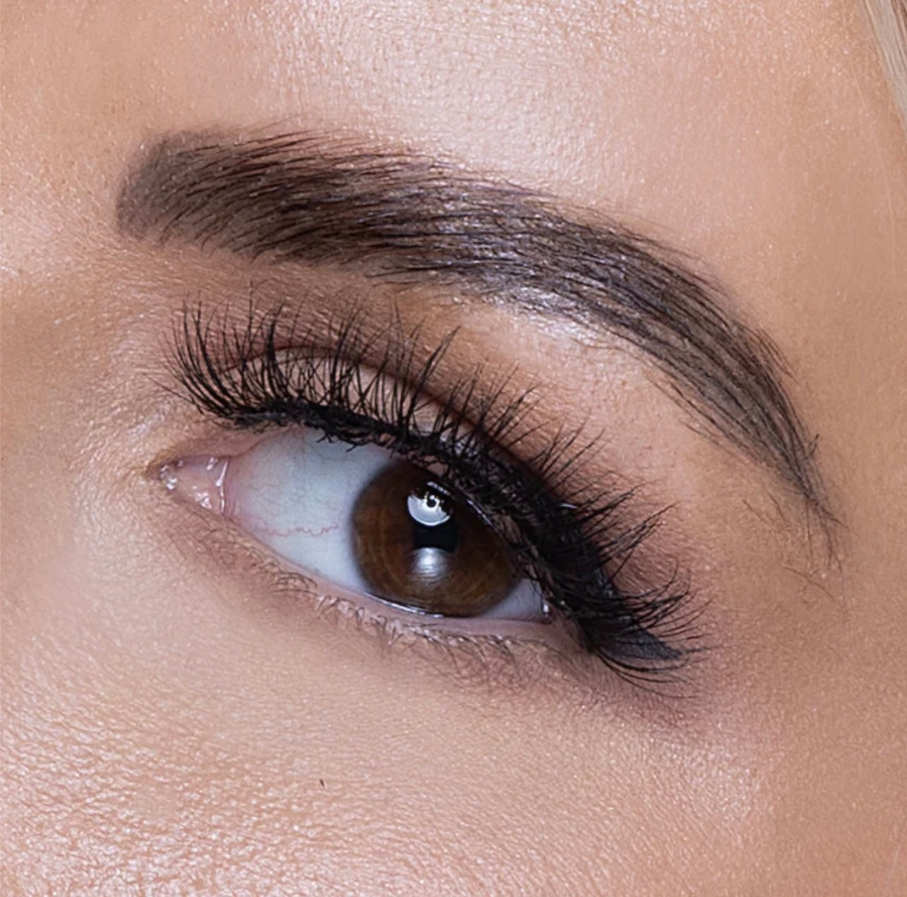 Reign Lashes | Heir | Glue On 3D Mink Luxury Lashes-Reign Lashes-Reign-The Twisted Chandelier