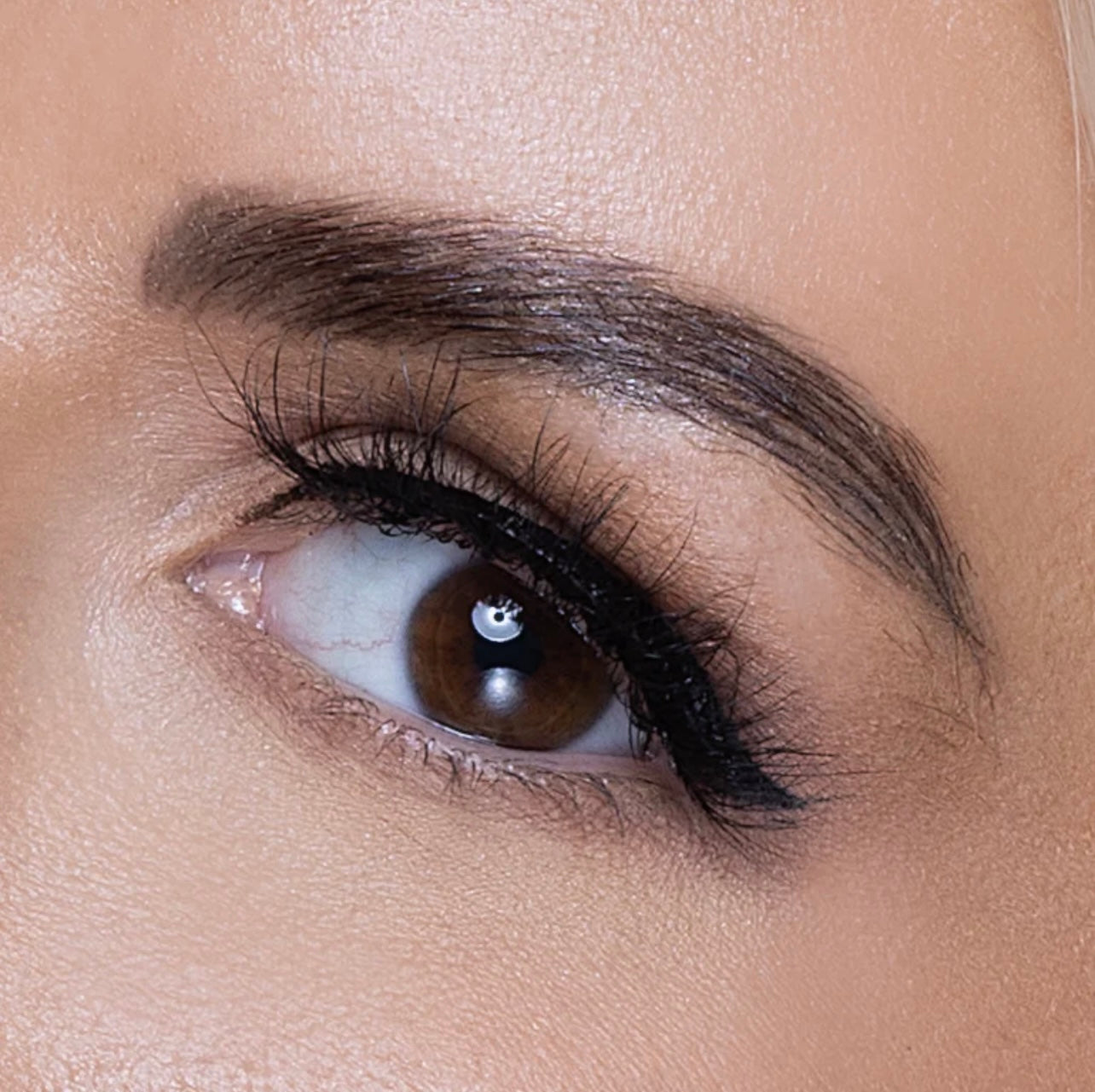 Reign Lashes | Zara | Glue On 3D Mink Luxury Lashes-Reign Lashes-Reign-The Twisted Chandelier