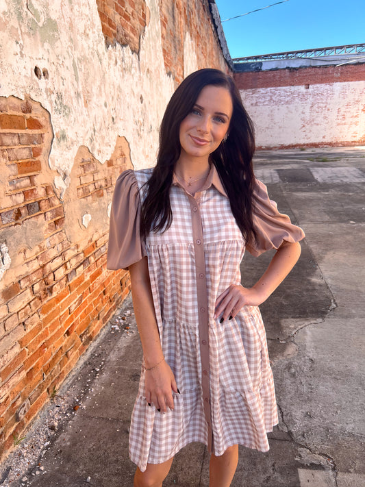Brown Gingham Button Down Dress-Dress-Southern Grace Wholesale-06/24/25,1st md,7899B,DJR-The Twisted Chandelier