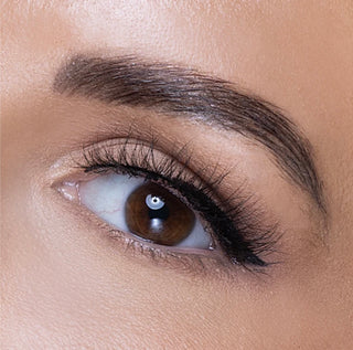 Reign Lashes | Zuki | Glue On 3D Mink Luxury Lashes-Reign Lashes-Reign-Confirmed 06/01/26,Lashes,Reign,reign lashes,suki,Zuki-The Twisted Chandelier