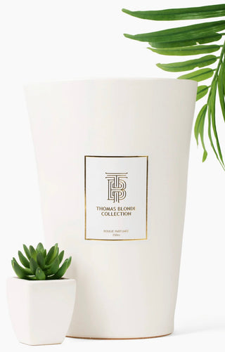 350 oz Blonde Illusion - Joshua Tree-Candle-Thomas Blonde-The Twisted Chandelier