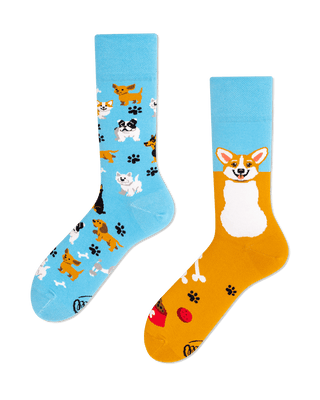Playful Dog Socks
