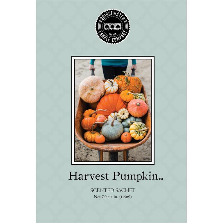 Harvest Pumpkin Scented Sachet-Home & Garden-Bridgewater-Bridgewater-The Twisted Chandelier