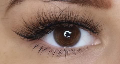 Reign Lashes | Paige | Glue on 3D Luxury Mink Lashes-Reign Lashes-Reign--The Twisted Chandelier